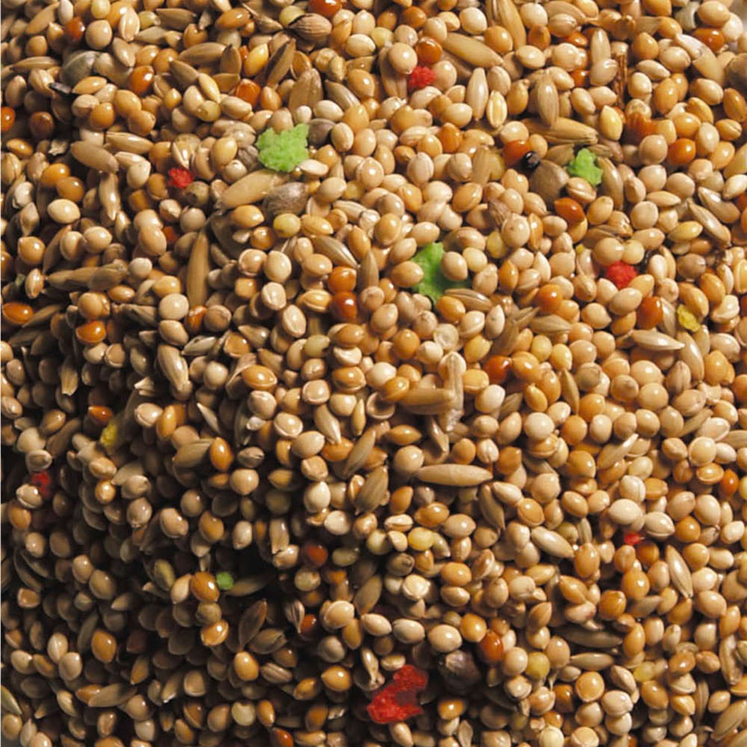 Närbild av Natural King Standard Undulat fågelfröblandning, 15 kg, med färgglada bitar.