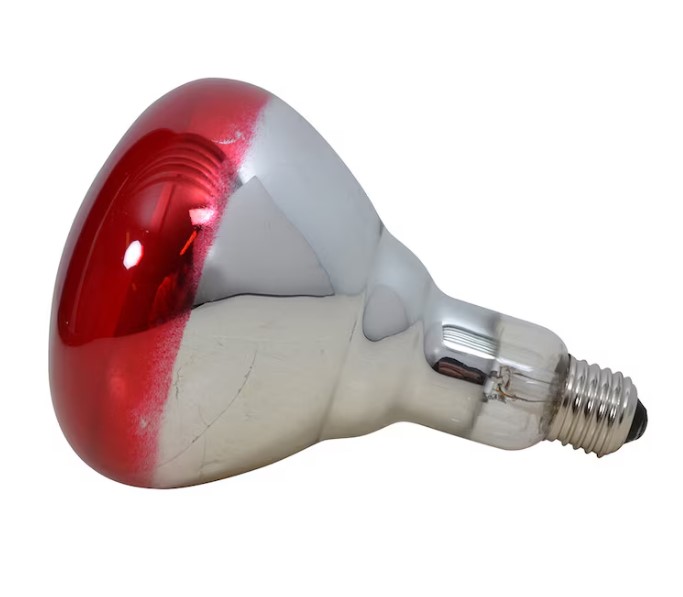 Reflekterande Philips IR 250w hårdglaslampa med röd spets på vit bakgrund.