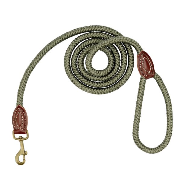 Grönt hundkoppel av flätat rep med läderdetaljer och metallspänne, lindat i en cirkel.