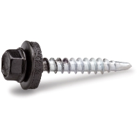 Närbild av en metallskruv med sexkantshuvud och svart bricka mot vit bakgrund.