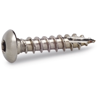 Närbild av en RÄNNKROKSSKRUV 4,8X25 T20 silverskruv med rundat huvud och gängor.