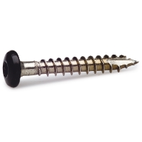 Närbild av RÄNNKROKSSKRUV 4,8X25 SV SB metallskruv med svart panhuvud mot vit bakgrund.