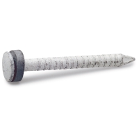 BLECKSPIK 2,5X30 VIT SB: Galvaniserad takspik med platt huvud och spetsig spets.