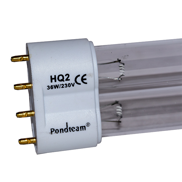 Närbild av en Utbytes Lysrör HQQ2 UVC 36W PL-glödlampa med fyra guldstift.