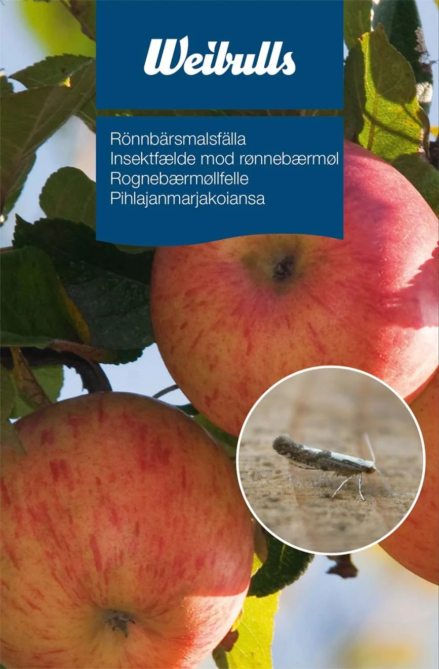 Två Rönnbärsmalsfällor hänger på en trädgren, närbild visar en mal på ett blad.