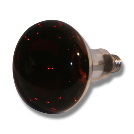 VÄRME GLÖDLAMPA IR - 250w är en mörkröd värmelampslampa med en reflekterande yta.