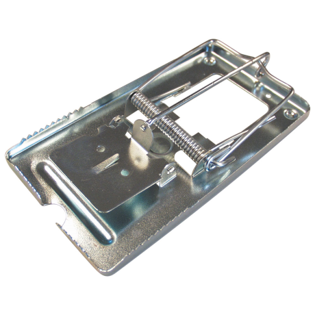 MUSFÄLLA I METALL 2 ST/FP-mössfällor av metall med fjädermekanism, redo att utlösas.