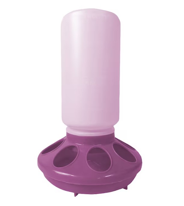 Fjäderfämatare i lila plast med cylindrisk behållare och rund utfodringsbricka.