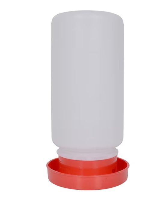 Vattenbehållare för fjäderfä i plast med röd bas och genomskinlig vit behållare.