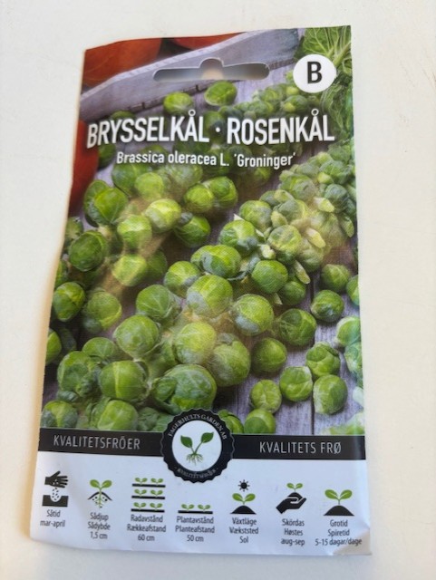 En förpackning med Brysselkål 'Groninger'-frön med bilder av gröna groddar på framsidan.