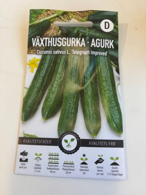 Växthusgurka 'Telegraph improved' frön med bilder av långa gröna gurkor på förpackningen.