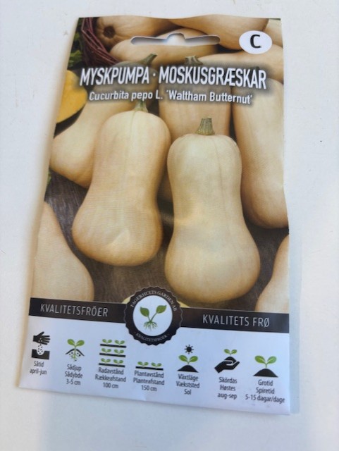 Myskpumpa 'Waltham butternutt' fröförpackning med bilder av hela squash på framsidan.