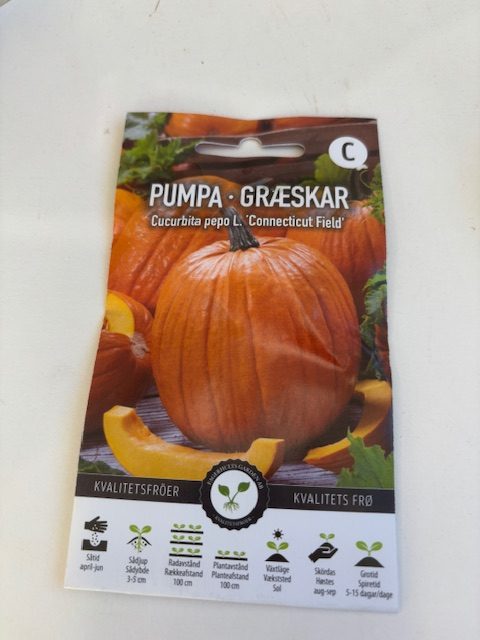 Ett paket Pumpa 'Connecticut field' frön med en stor orange pumpa på framsidan.
