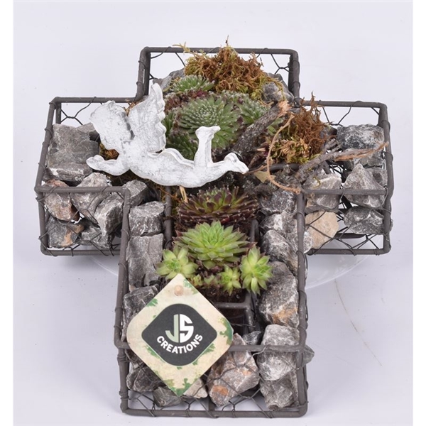 Grupp Metall kors 3882850: Korsformad suckulent med stenar, metallram och vit fågel.