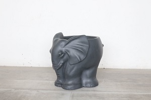 En svart Elefantkruka - Stor planteringskärl på ett ljust trägolv mot en vit vägg.