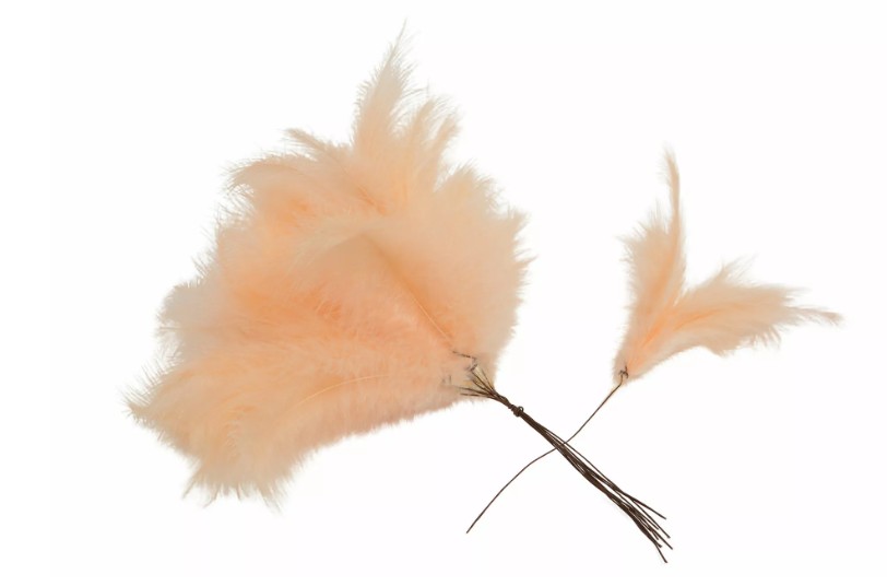 Ljus aprikos Fjäder Trådad Vippa strutsfjädrar mot en vit bakgrund.