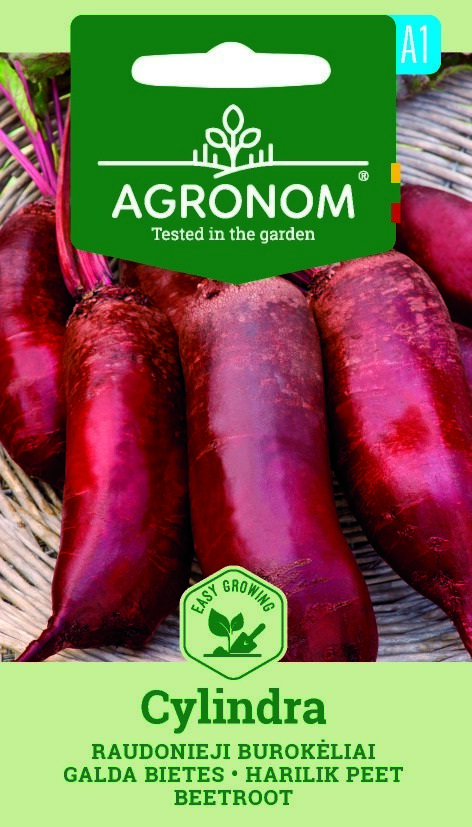 Fyra långa röda rödbetor, Cylindra, i en korg med etiketten på fröförpackningen överst.