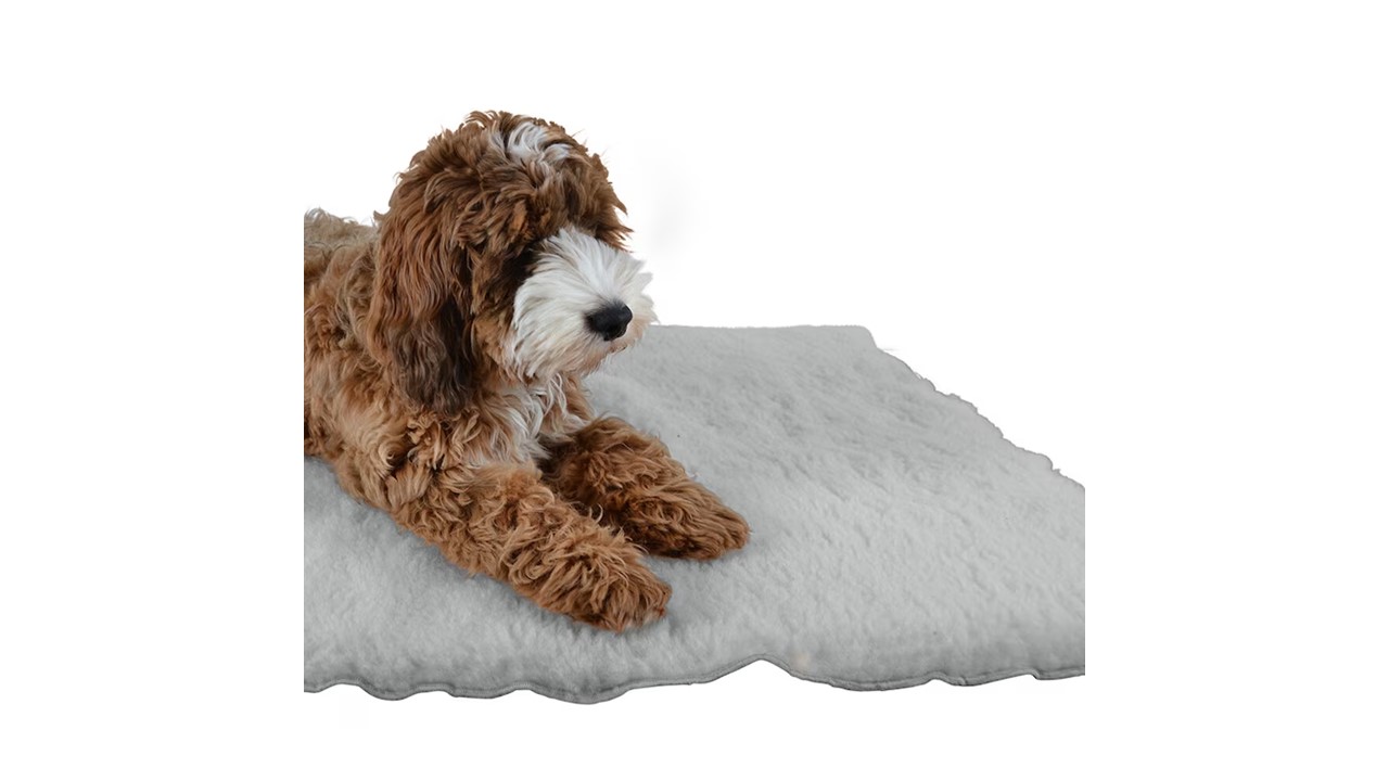 Brun och vit fluffig hund som ligger på en hundfäll 70x100cm ljusgrå, fluffig matta.