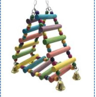 Triangelstege i trä för papegoja med färgglada stegpinnar, bjällror och upphängning med metallkedja.