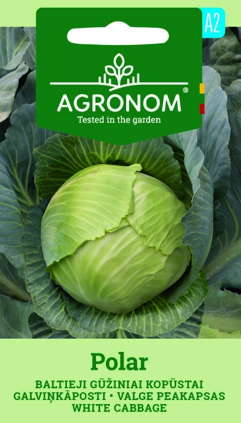 En rund vitkål, Cabbage White Polar, på ett fröpaket i en trädgård.