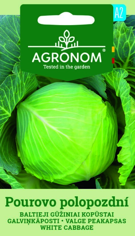 Kål White, Provo Polopozdni med gröna blad och etikett med fröförpackning upptill.