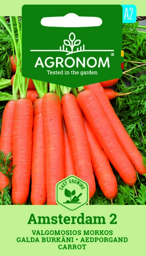 Färska, orange morötter med gröna toppar, märkta Morot, Amsterdam 2 frön.