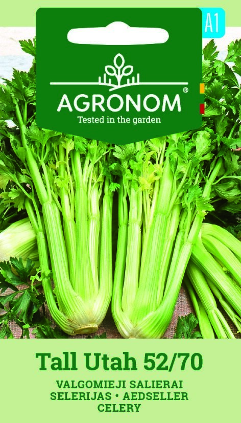 Fröpaket märkt "Celery, Tall Utah 52/70" visar knippen av färsk selleri med gröna blad.