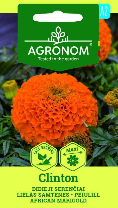 Ljusorange ringblomma, Clintonblomma med gröna blad på en märkt förpackning.