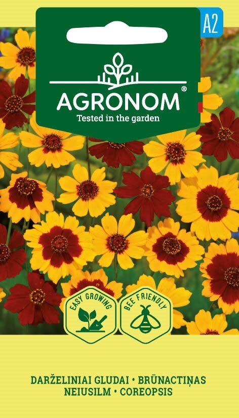Coreopsis Mix frön: gula & röda blommor, lättodlade, bivänliga.