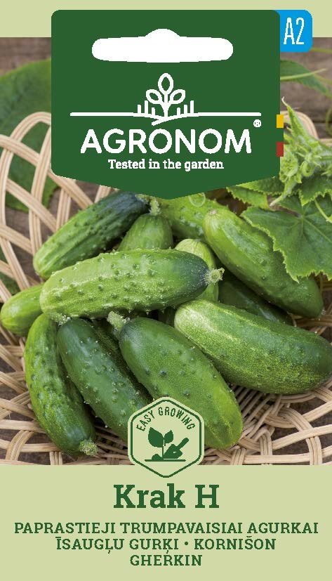 En korg fylld med små, färska gurkor märkt Cucumber, Krak H.