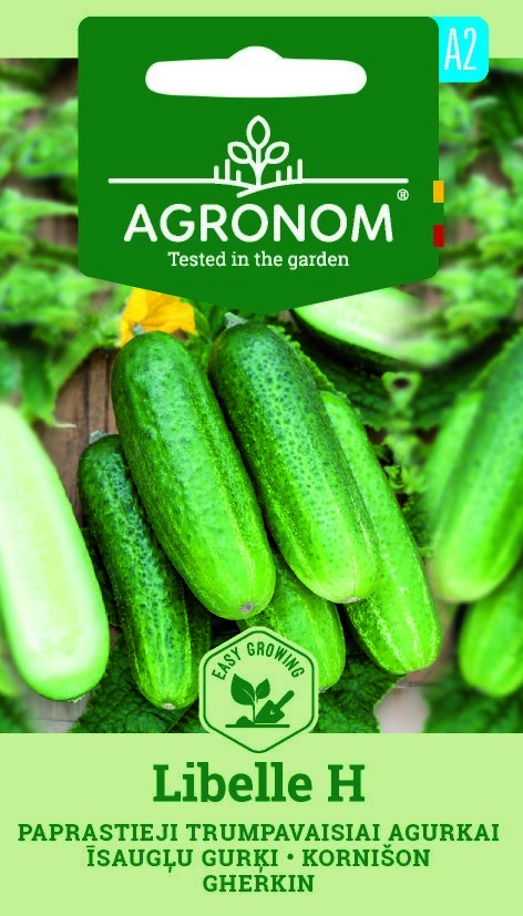Fröförpackning för gurka, Libelle H, med bilder på grön gurka och flerspråkig text.