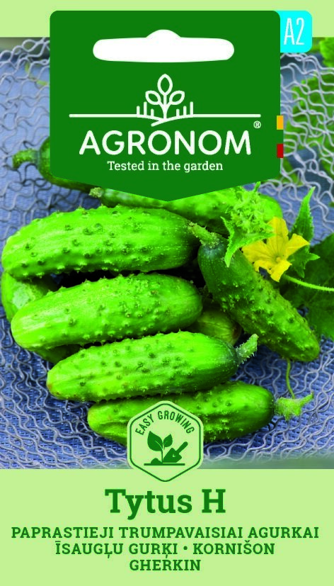 Förpackningar med gurka, Tytus-frön med färska gurkor och blommor på en blå bakgrund.