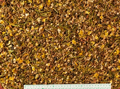 Torkade blandade örter och frön utspridda, med en linjal för skala längst ner.