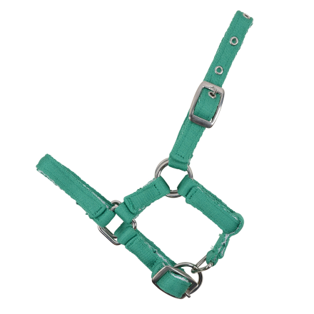 FÖLGRIMMA CUSHION FULL GRÖN, grön nylongrimma med spännen och ringar i metall.