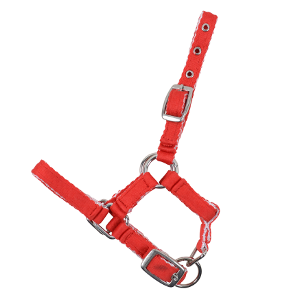 FÖLGRIMMA CUSHION FULL RÖD grimma med silverfärgade spännen och ringar, på vit bakgrund.