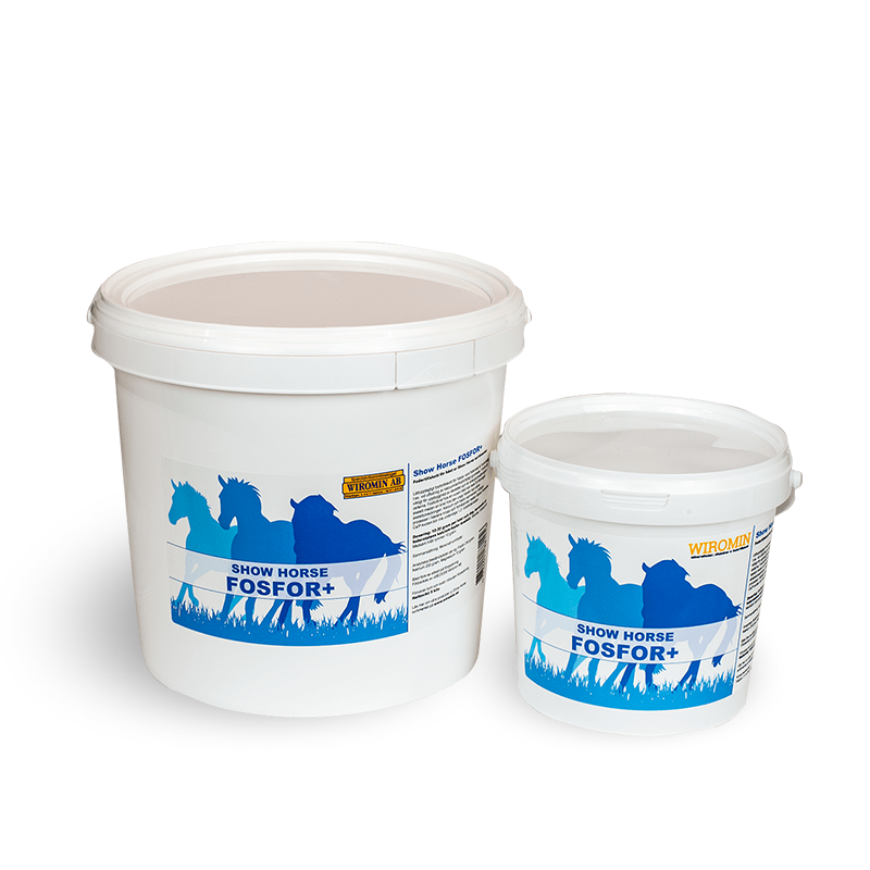 Två vita Show Horse FOSFOR+-bägare, var och en med blå hästsilhuetter på framsidan.