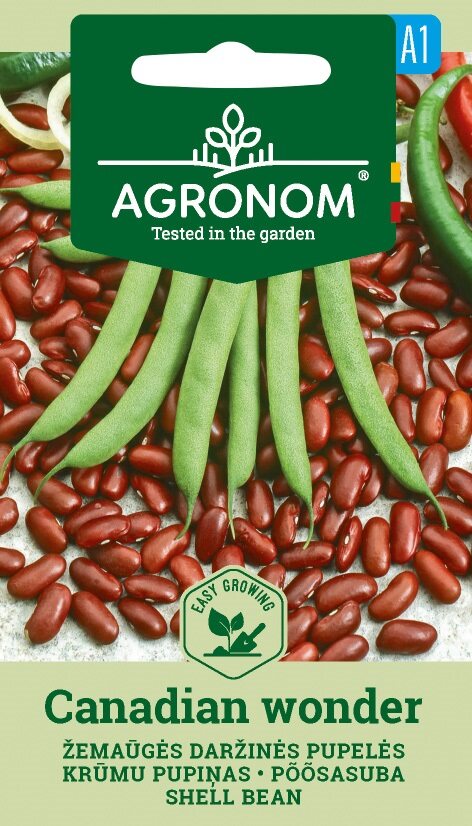 Franska bönor frön märkta Dwarf, Canadian Wonder på ett fröpaket.