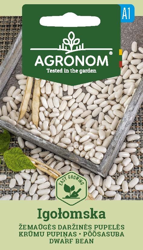 Paket med franska bönor dvärg, Igolomska frön med vita bönor och skida visas.