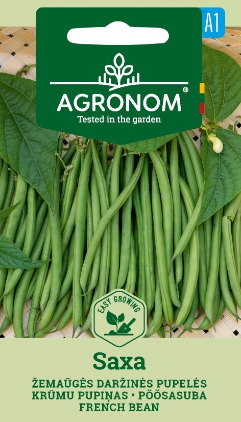 Ett paket med French Bean Dwarf, Saxa-frön med gröna bönor avbildade på framsidan.