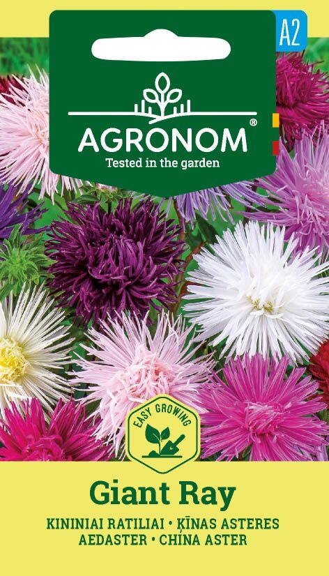 China Aster Giant Ray Mix-frön från Agronom i ett färgstarkt paket.