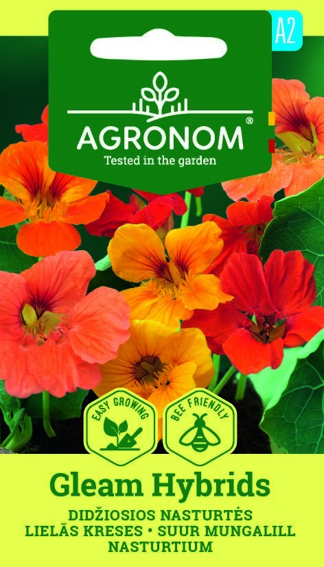 Vibrerande orange och gula blommor från Nasturtium, Gleam Hybrids med fröförpackning med varumärke.