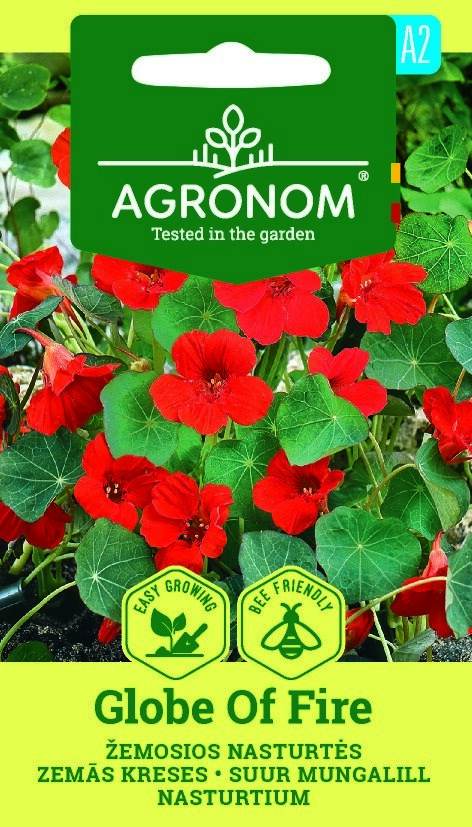 Fröförpackning: Krasse, Globe Of Fire med ljusröda blommor; märkt Bee Friendly.