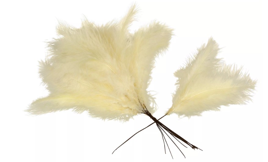 Flera stora, fluffiga Fjäder Trådad Vippa Gul plymer med tunna bruna stjälkar.