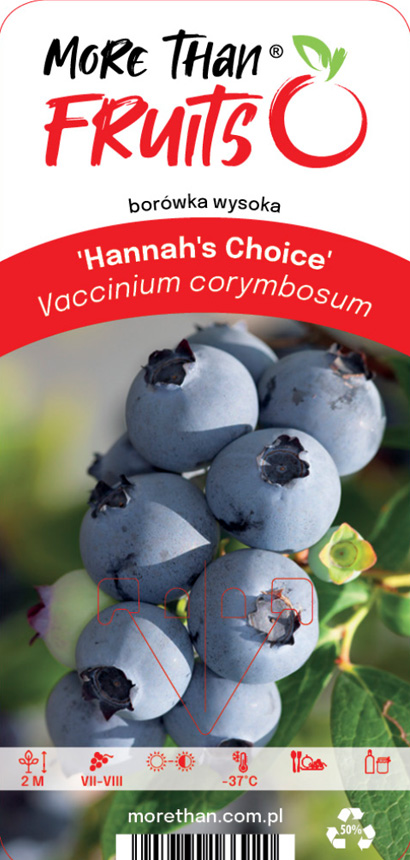 Närbild av Amerikanskt Blåbär Hannah´s Choice blåbär med synlig produktetikett.