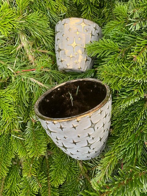 Två Kruka Keramik Stjärnor guld - d17 krukor står bland gröna tallgrenar.