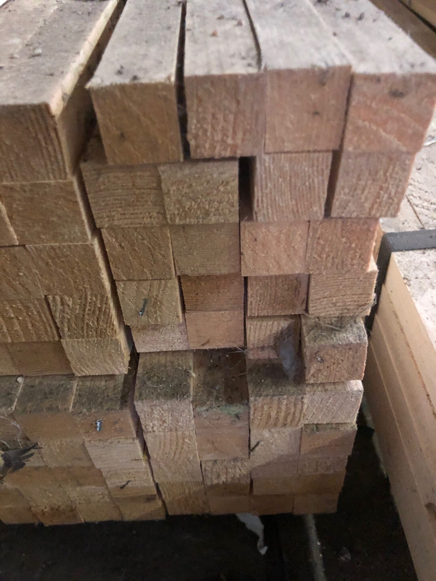 Stapel av Läkt 25x25 4800mm träplankor tätt placerade, sett från änden.