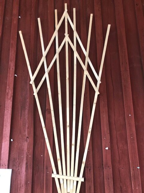 Spalje i trä 99481 lutar mot en röd trävägg, arrangerad i ett solfjädersmönster.