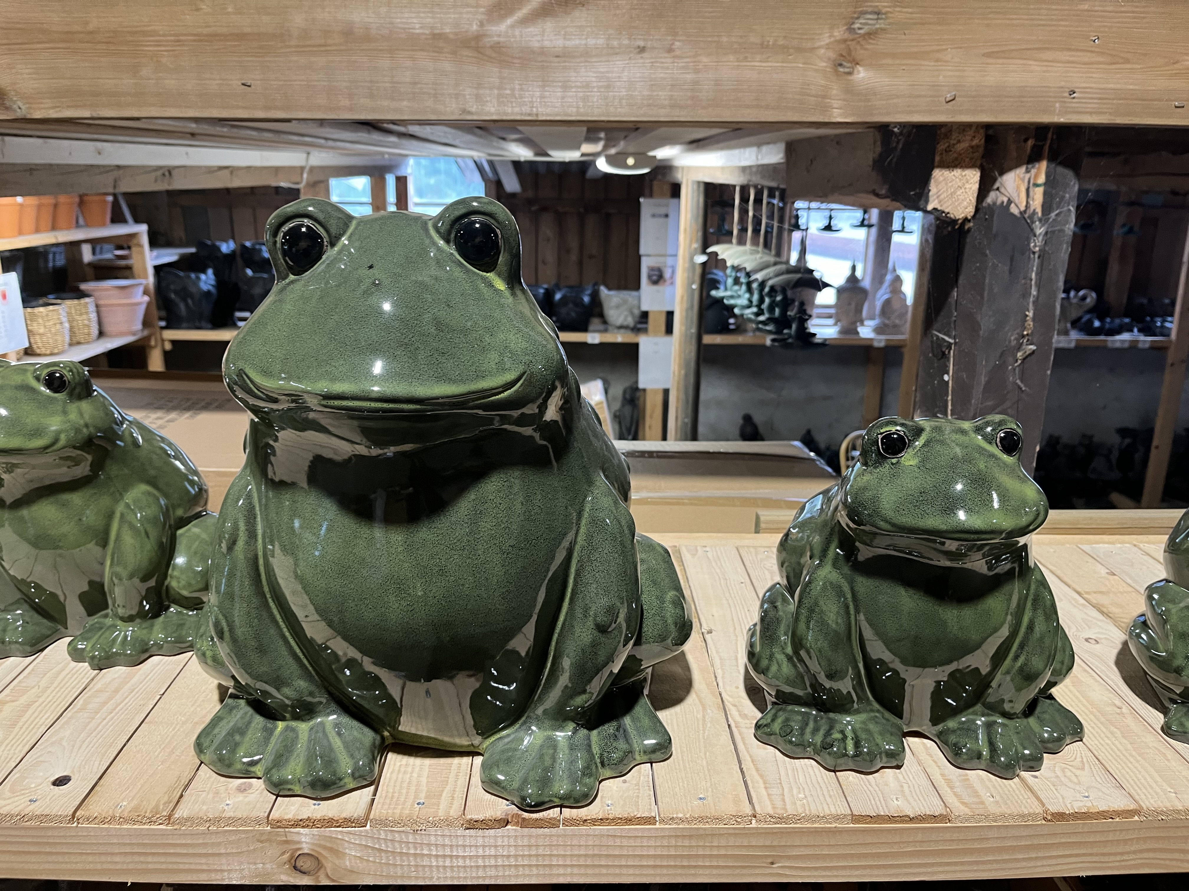 Två Groda D38 cm gröna grodstatyer i keramik står på en trähylla i en butik.