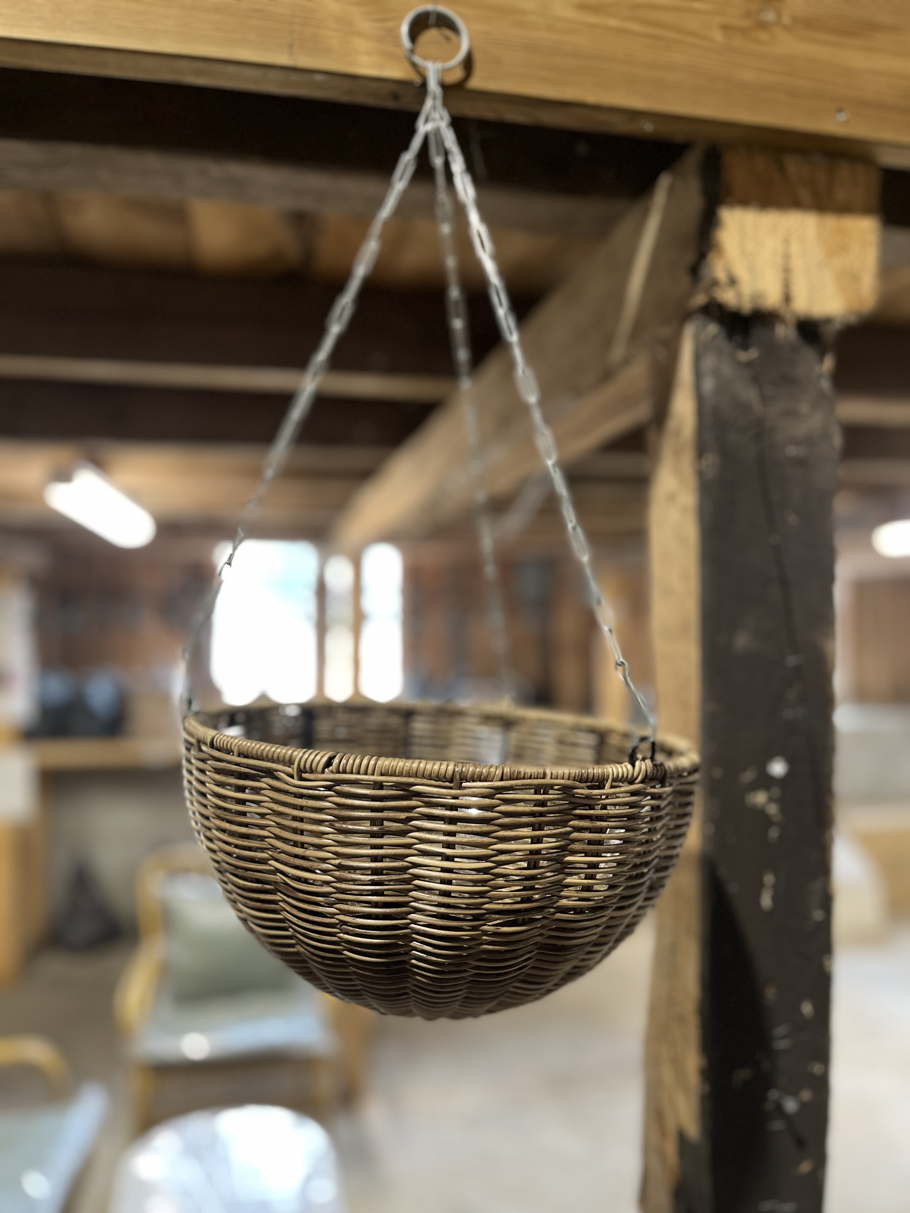 Kruka Hängande Ampel D30 upphängd inomhus med träbjälkar i bakgrunden.