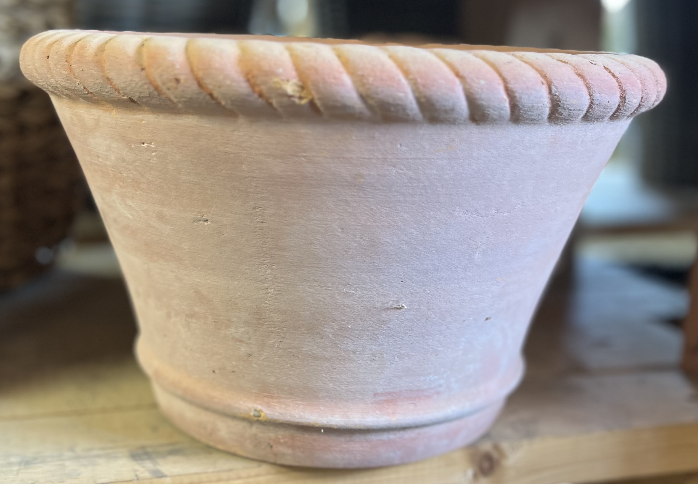 Kruka Terracotta krans - Mellan växtkruka är placerad på en träyta.